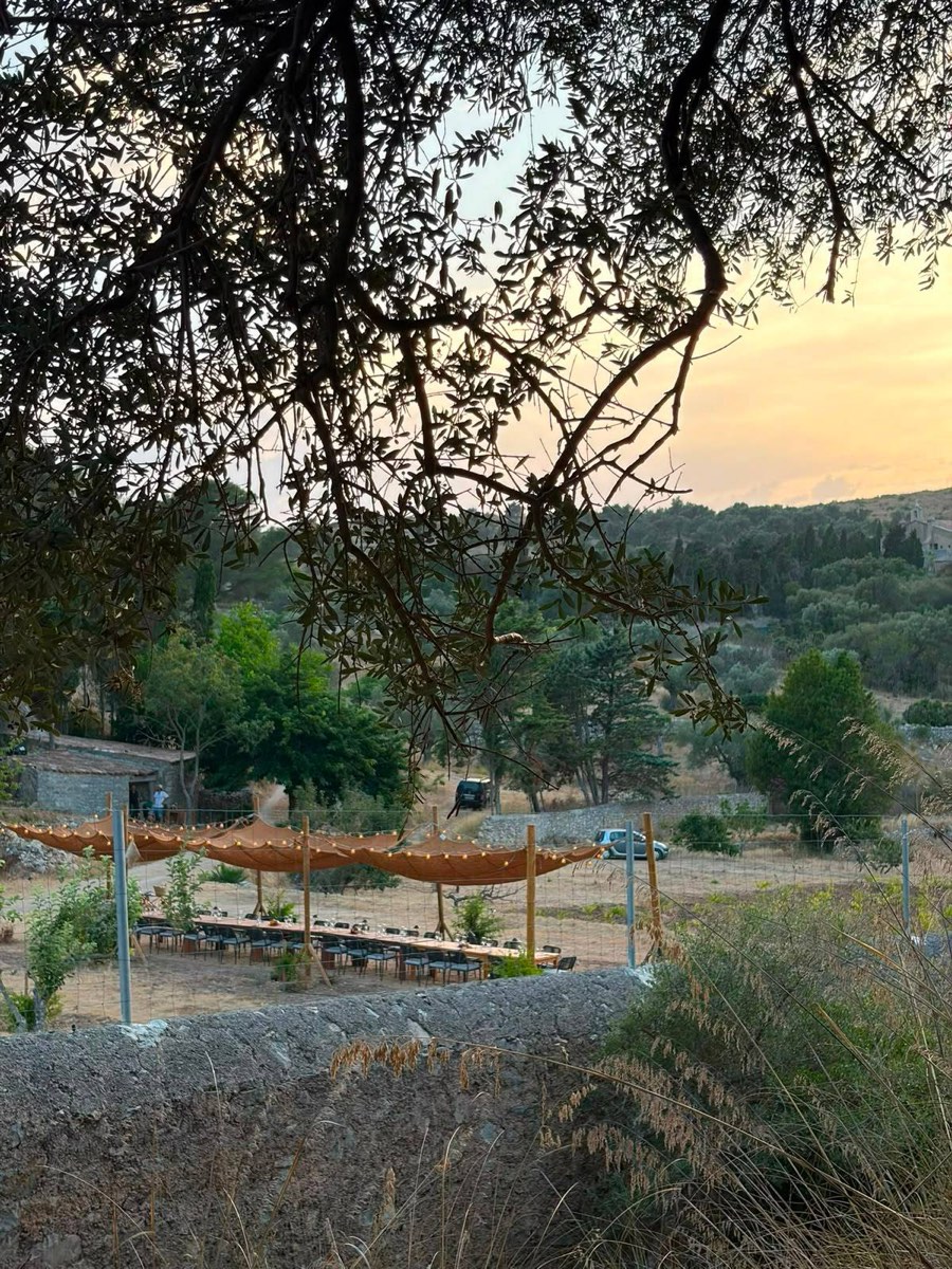 Taula llarga entre oliveres a l'Ermita de Betlem